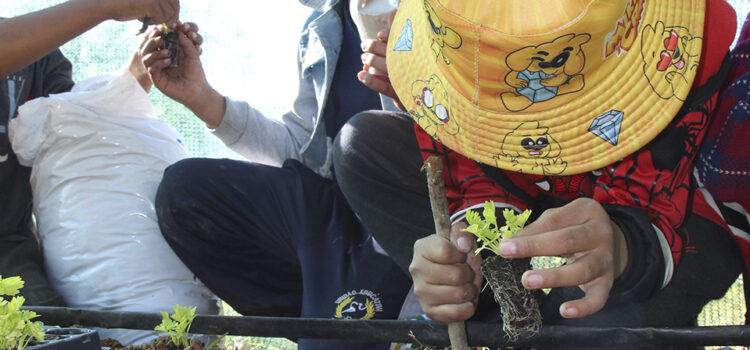 Huertos Agroecológicos