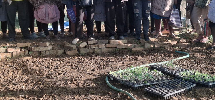 Introducción a la Agroecología
