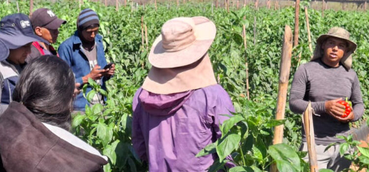 Intercambio de experiencias en Omereque