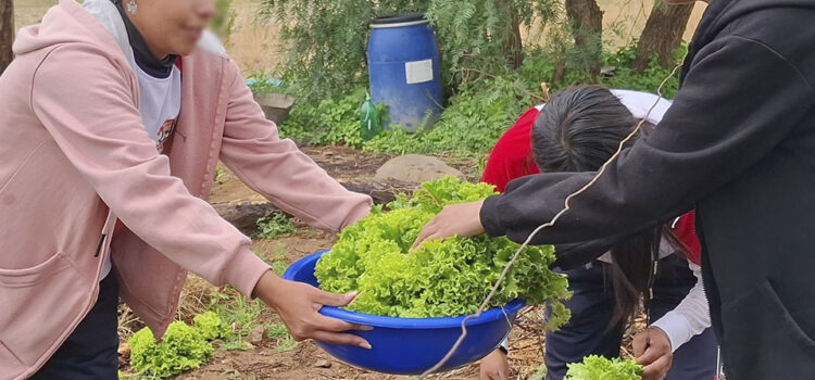 Educación Alimentaria