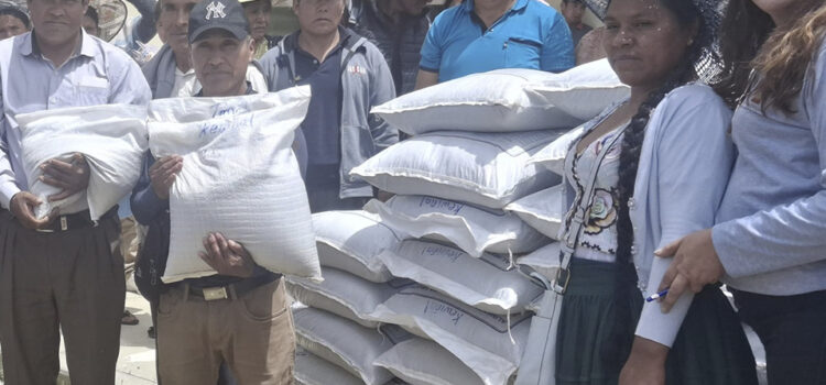 Fondos Concursables 2025