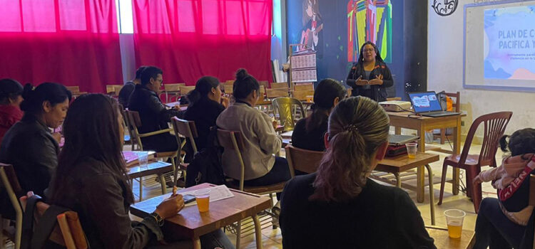 Elaboración de Planes de Convivencia, Pacífica y Armónica