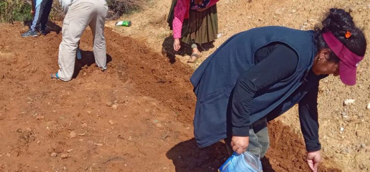 FORTALECIENDO LA SEGURIDAD ALIMENTARIA Y EL TRABAJO FAMILIAR A TRAVÉS DE LOS HUERTOS