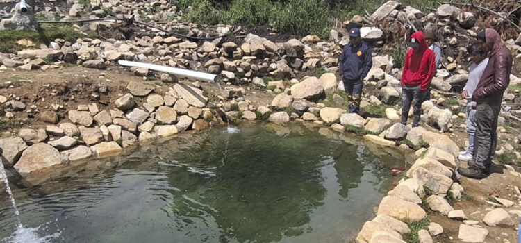 Producción Piscícola