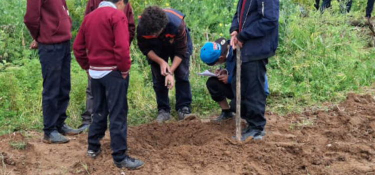 EL UNIVERSO BAJO NUESTROS PIES, LA IMPORTANCIA DE LA VIDA EN EL SUELO